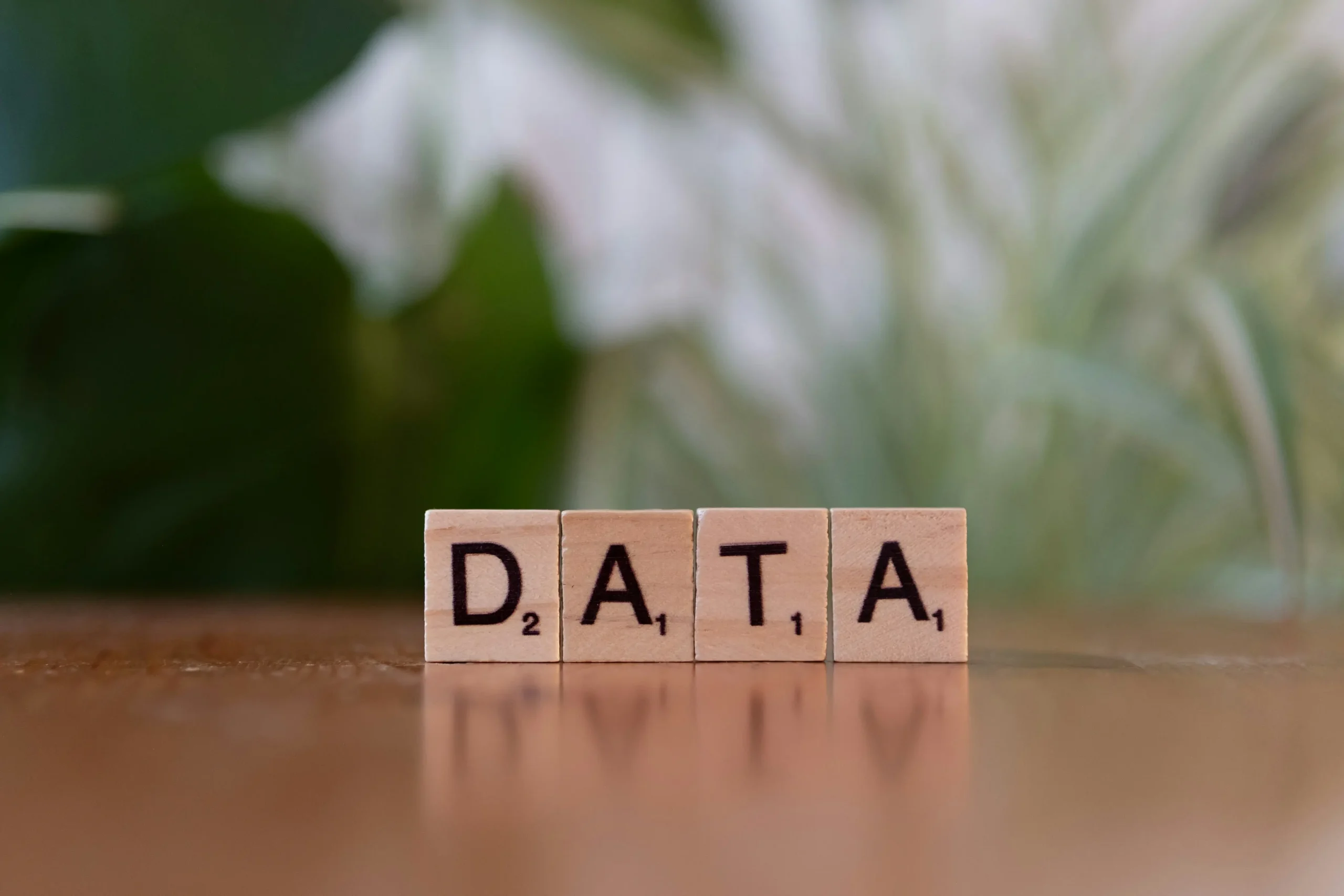 Natural Language Processing (NLP)
